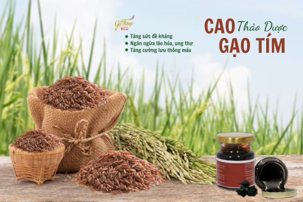 Cao lúa gạo thảo dược GOTIME ECO