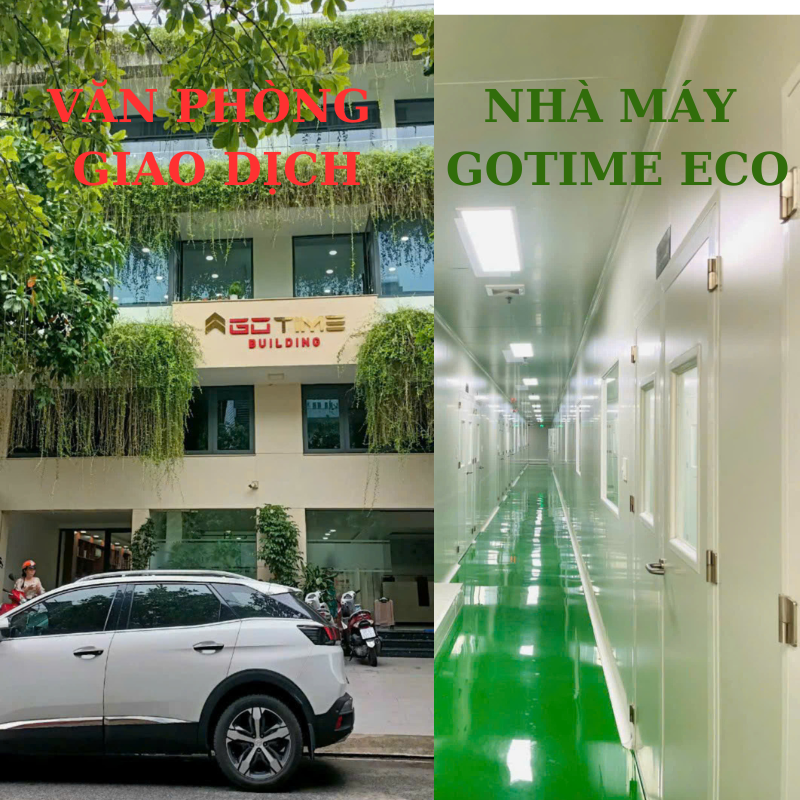 Xu Hướng Gia Công Thực Phẩm Bảo Vệ Sức Khỏe 2024