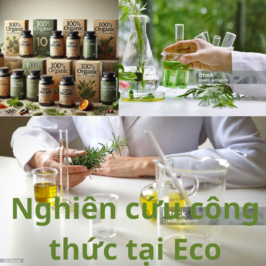 Xu Hướng Gia Công Thực Phẩm Bảo Vệ Sức Khỏe 2024