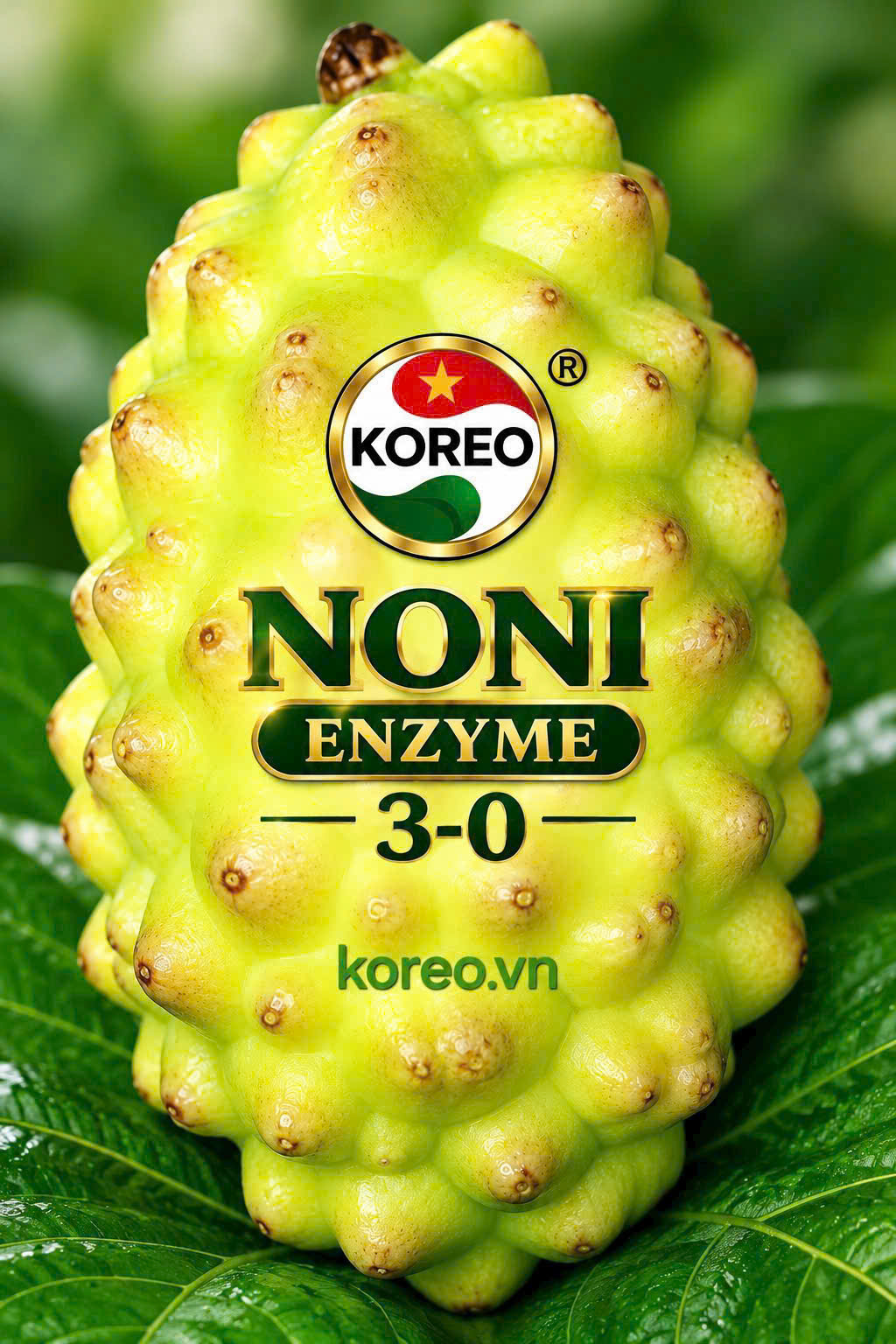 NONI ENZYME 3-0