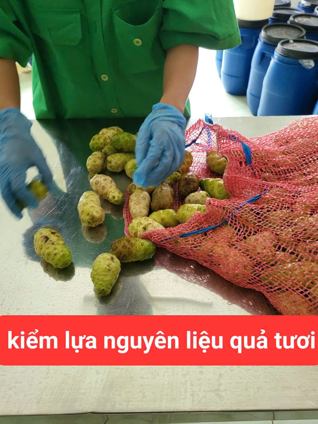 Trái Nhàu ( NonI)