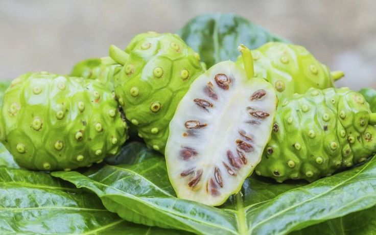 Trái Nhàu ( NonI)