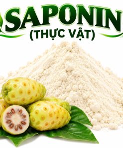 Saponin Thực Vật