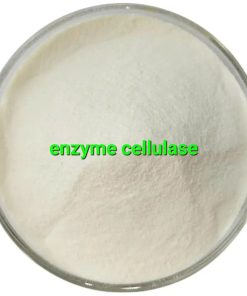Enzyme Cellulase Thực Vật
